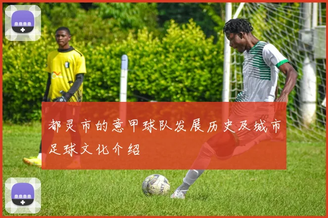 都灵市的意甲球队发展历史及城市足球文化介绍