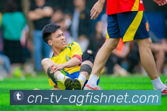 AG捕鱼王官网品牌故事