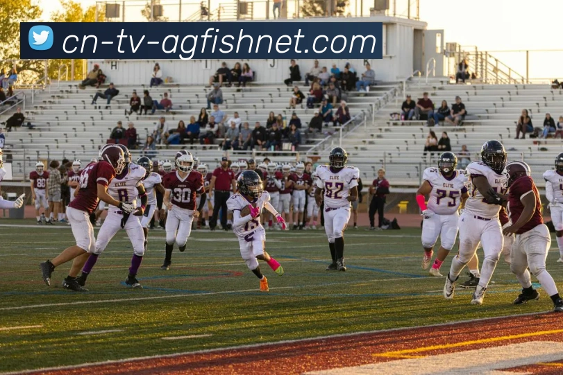 AG捕鱼王官网服务体系