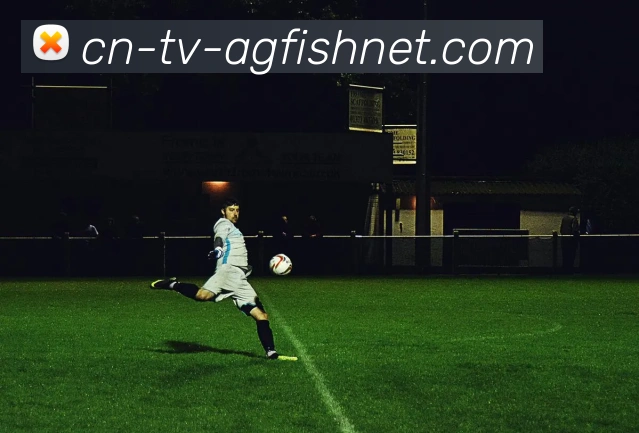 多媒体互动体验